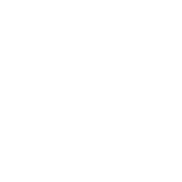 Fly Dubai Logo